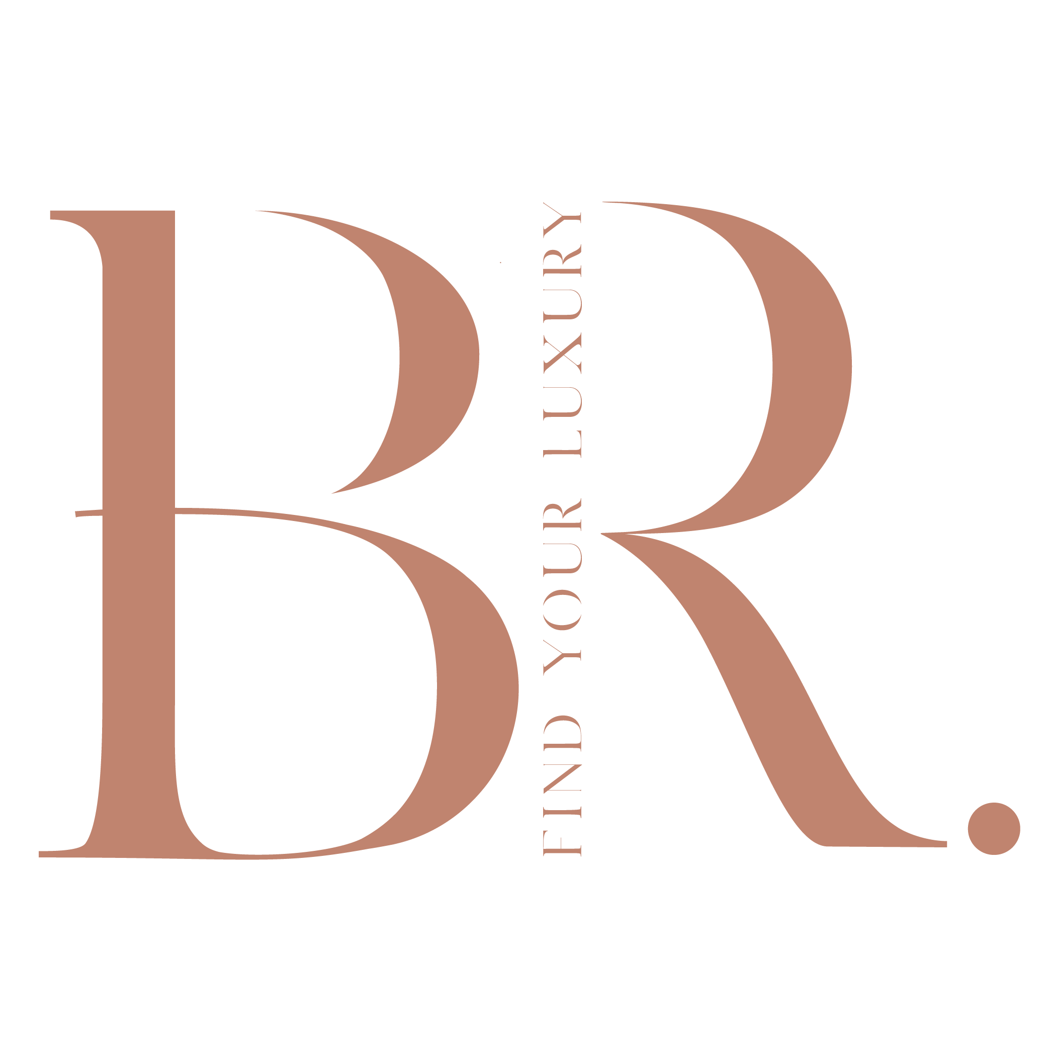 BR Logos Terra-04 (1)